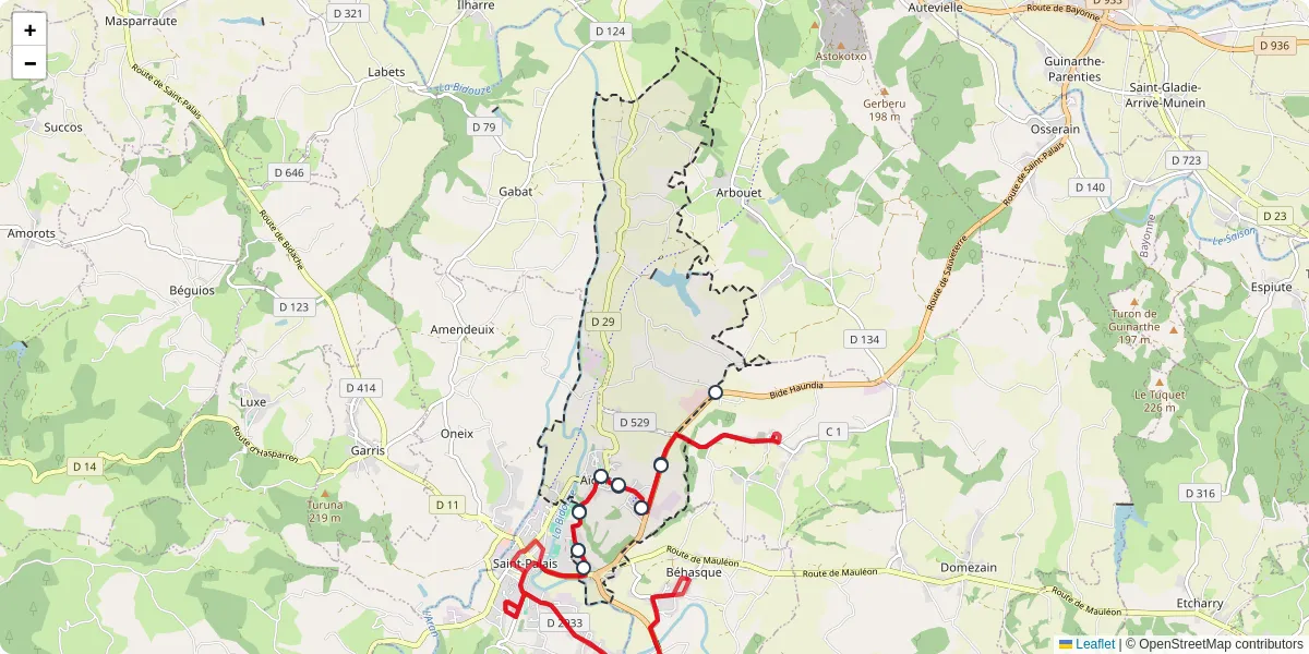Carte du réseau de transport en commun à Aïcirits-Camou-Suhast - lignes de bus et arrêts