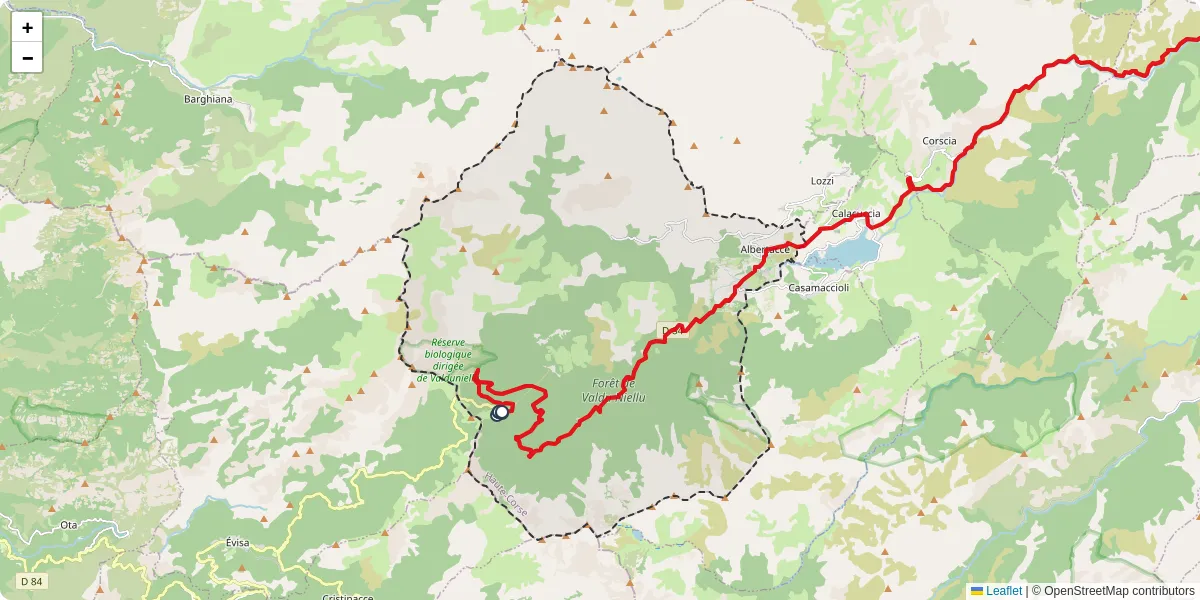 Carte du réseau de transport en commun à Albertacce - lignes de bus et arrêts
