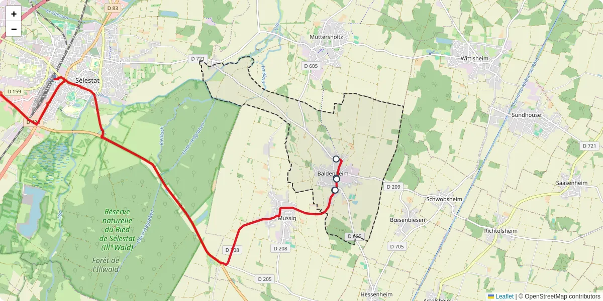 Carte du réseau de transport en commun à Baldenheim - lignes de bus et arrêts