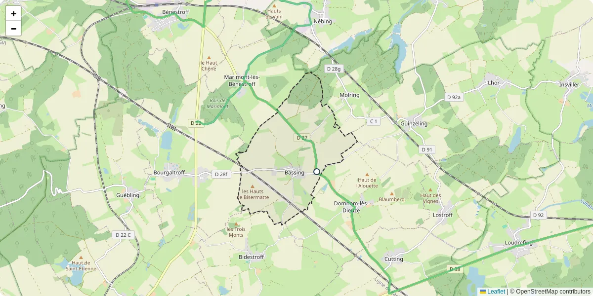 Carte du réseau de transport en commun à Bassing - lignes de bus et arrêts