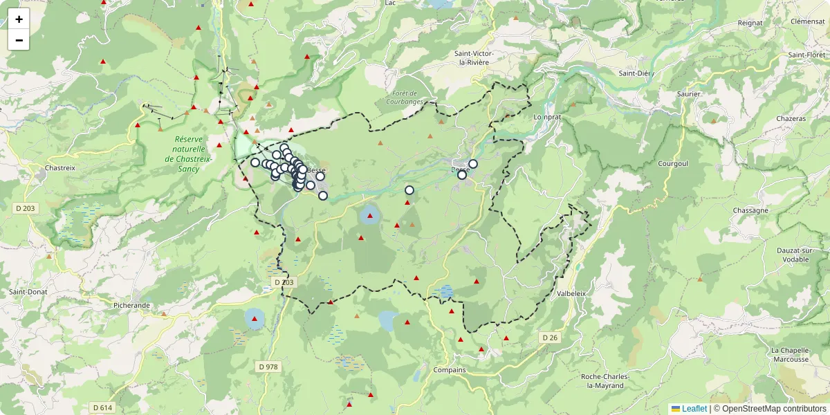Carte du réseau de transport en commun à Besse-et-Saint-Anastaise - lignes de bus et arrêts