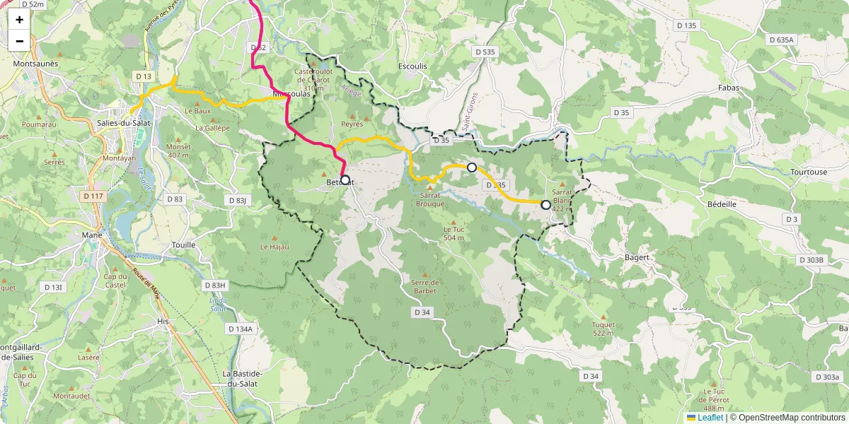 Carte du réseau de transport en commun à Betchat - lignes de bus et arrêts