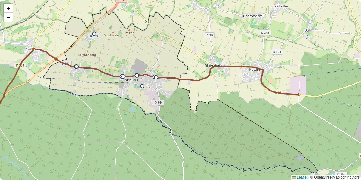 Carte du réseau de transport en commun à Betschdorf - lignes de bus et arrêts