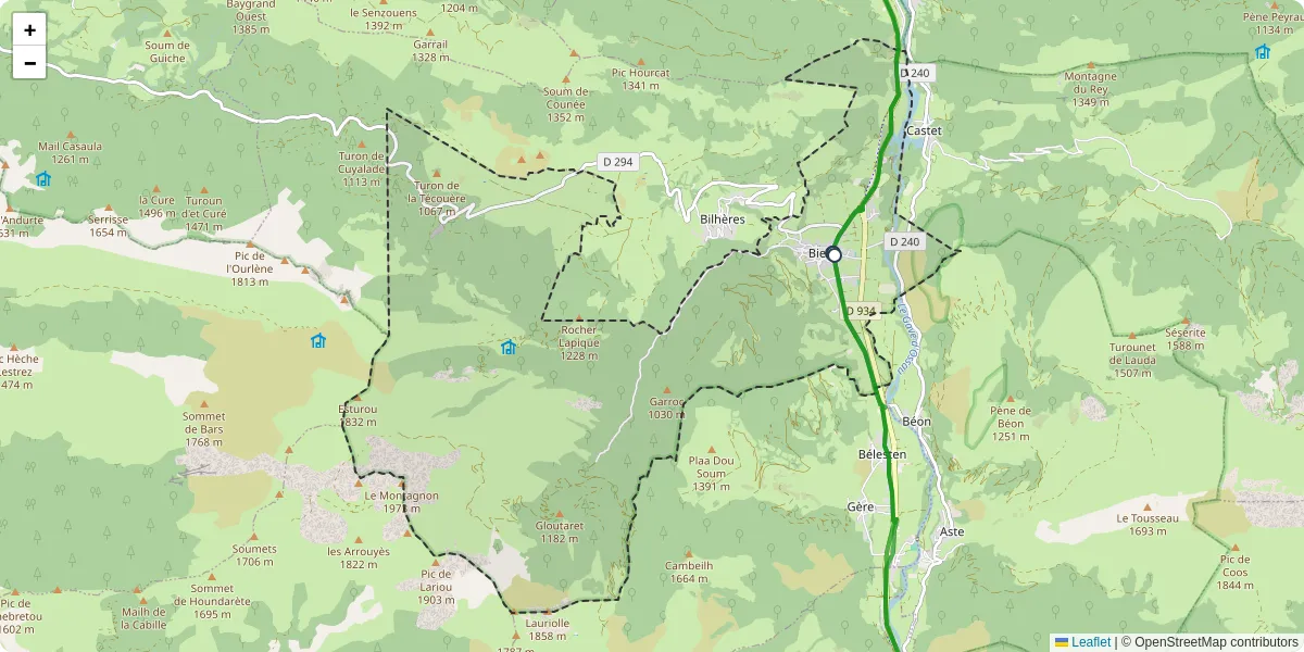 Carte du réseau de transport en commun à Bielle - lignes de bus et arrêts
