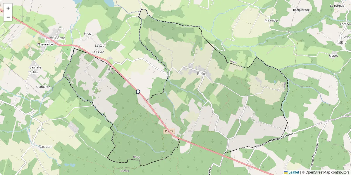 Carte du réseau de transport en commun à Birac - lignes de bus et arrêts