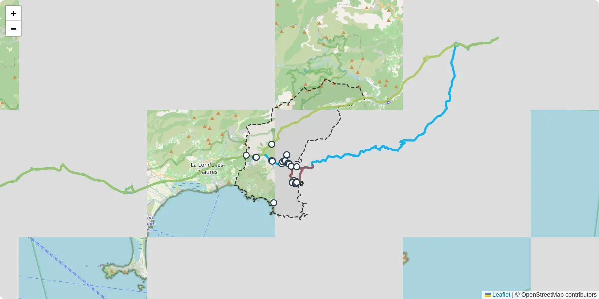 Carte du réseau de transport en commun à Bormes-les-Mimosas - lignes de bus et arrêts