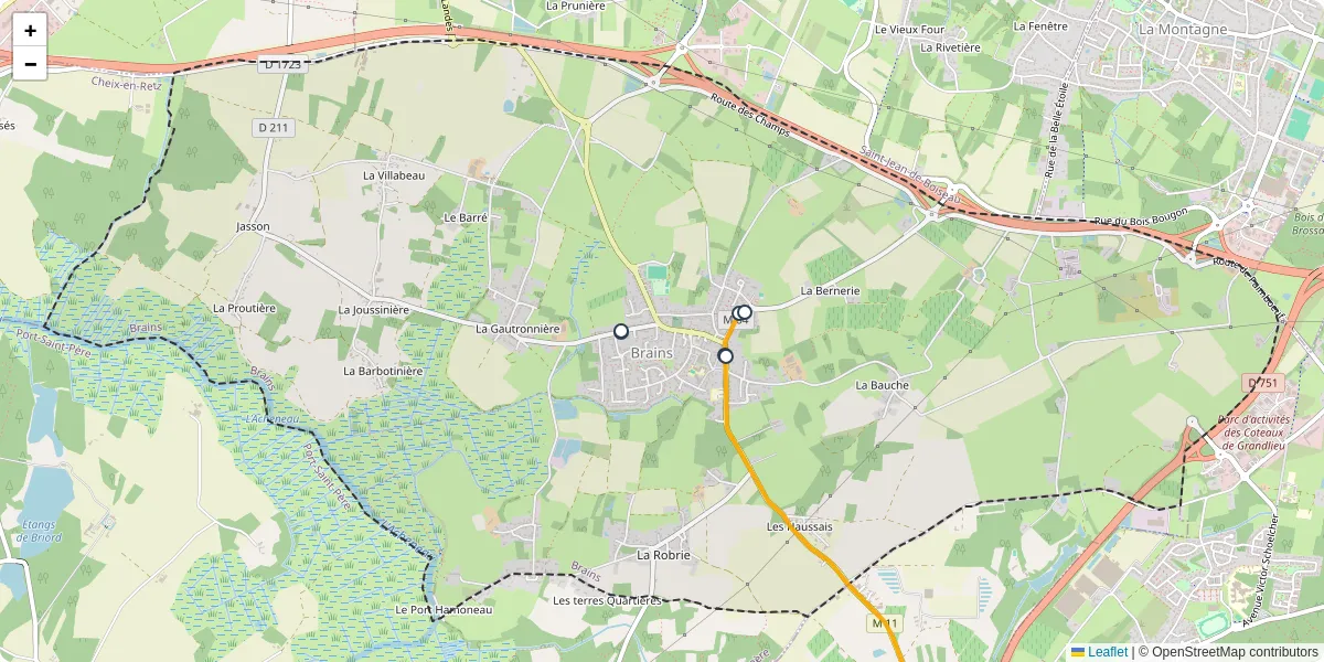 Carte du réseau de transport en commun à Brains - lignes de bus et arrêts