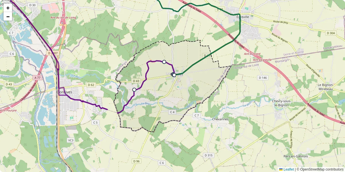 Carte du réseau de transport en commun à Bransles - lignes de bus et arrêts
