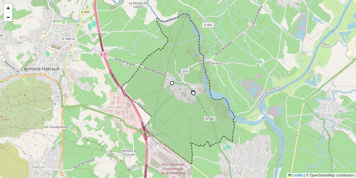 Carte du réseau de transport en commun à Brignac - lignes de bus et arrêts