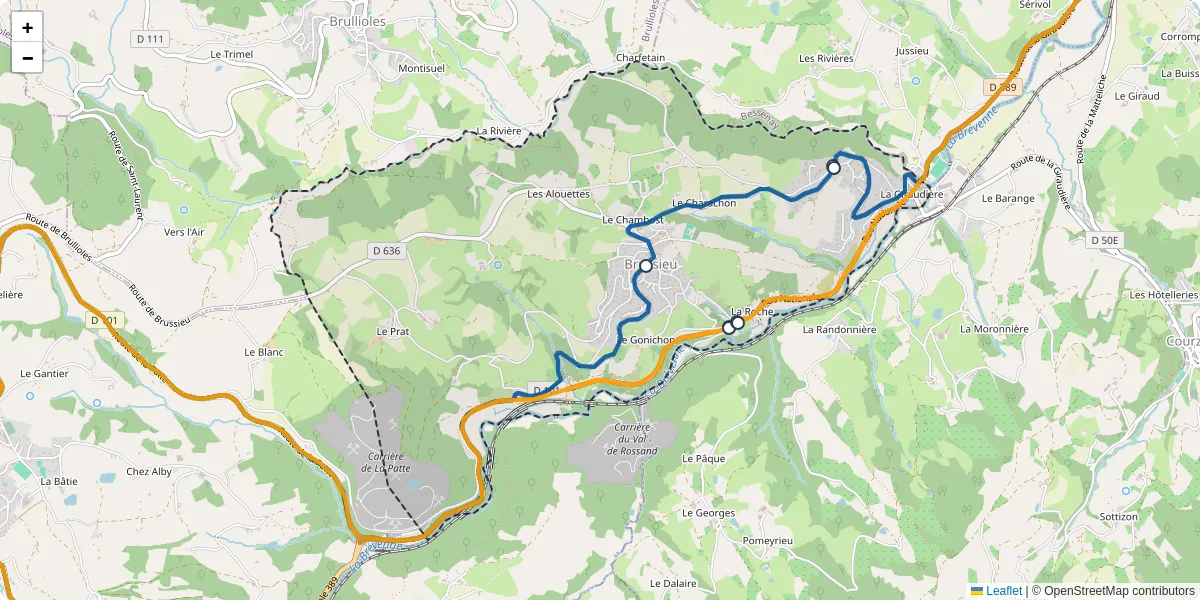 Carte du réseau de transport en commun à Brussieu - lignes de bus et arrêts