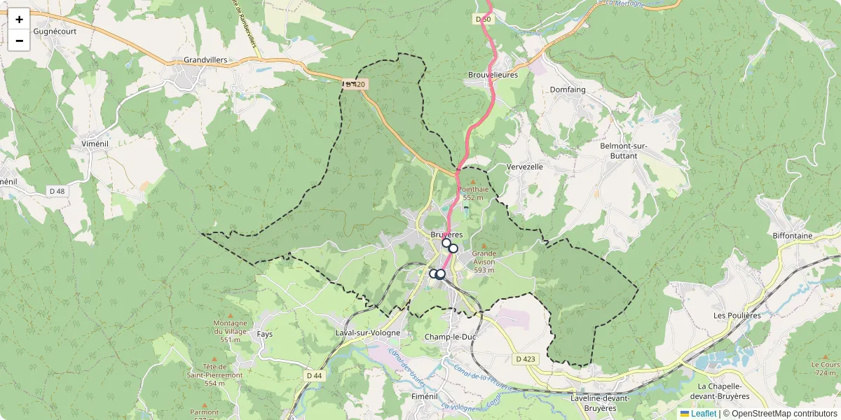 Carte du réseau de transport en commun à Bruyères - lignes de bus et arrêts