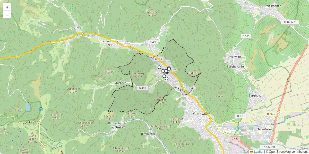 Carte du réseau de transport en commun à Buhl - lignes de bus et arrêts