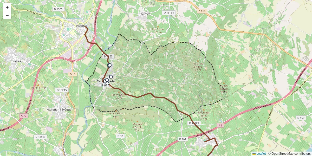 Carte du réseau de transport en commun à Castelnau-de-Guers - lignes de bus et arrêts