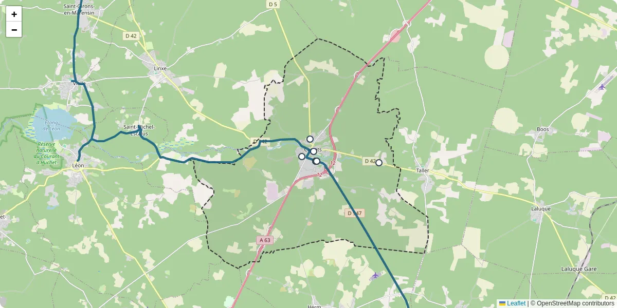 Carte du réseau de transport en commun à Castets - lignes de bus et arrêts