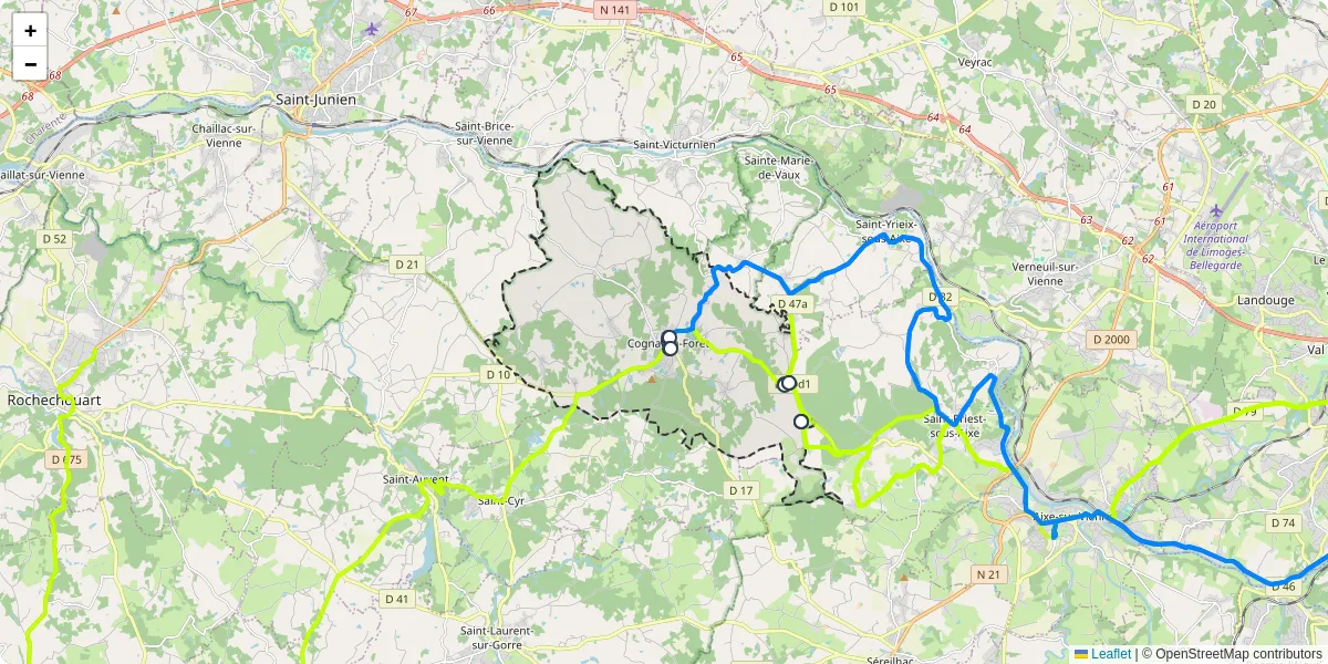 Carte du réseau de transport en commun à Cognac-la-Forêt - lignes de bus et arrêts