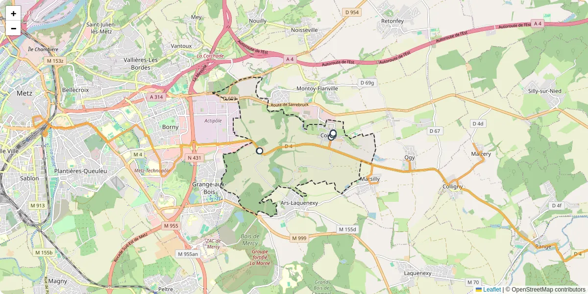 Carte du réseau de transport en commun à Coincy - lignes de bus et arrêts