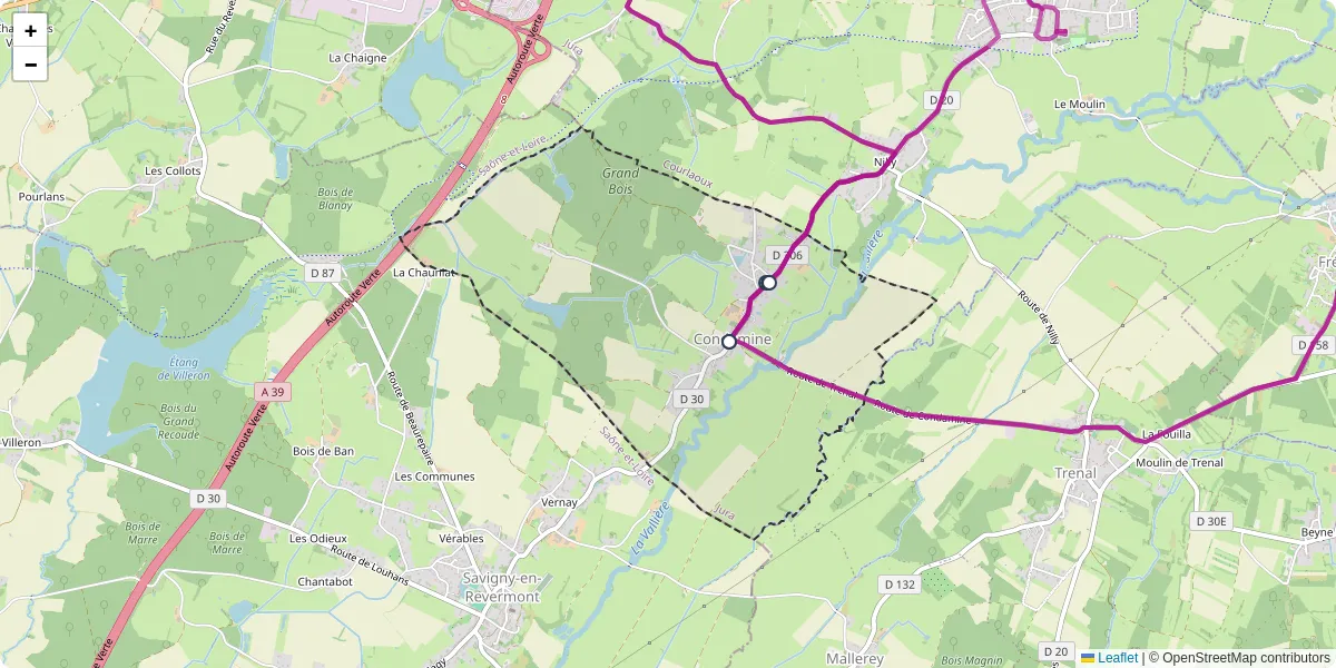Carte du réseau de transport en commun à Condamine - lignes de bus et arrêts