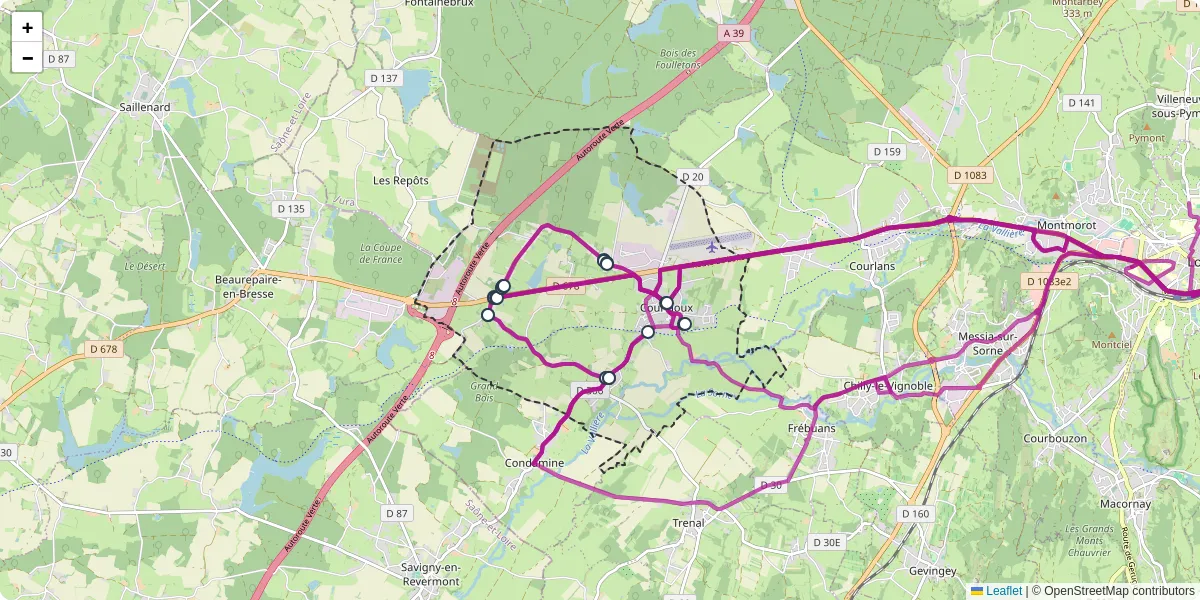 Carte du réseau de transport en commun à Courlaoux - lignes de bus et arrêts