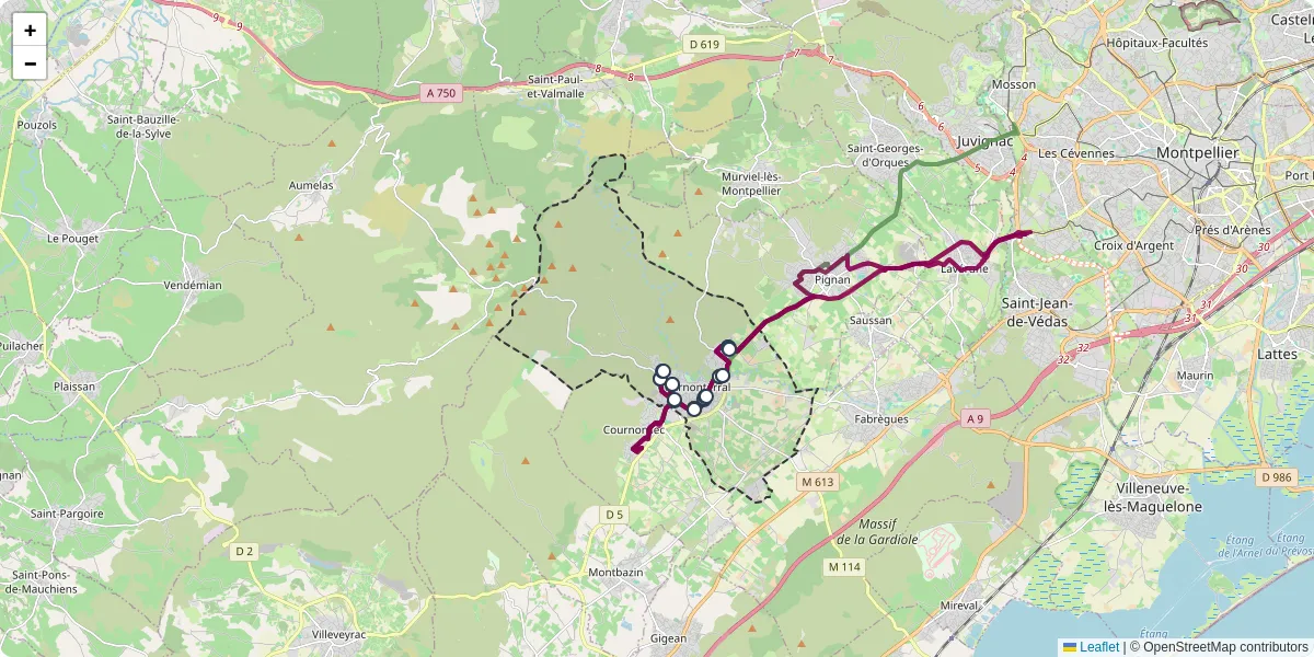 Carte du réseau de transport en commun à Cournonterral - lignes de bus et arrêts