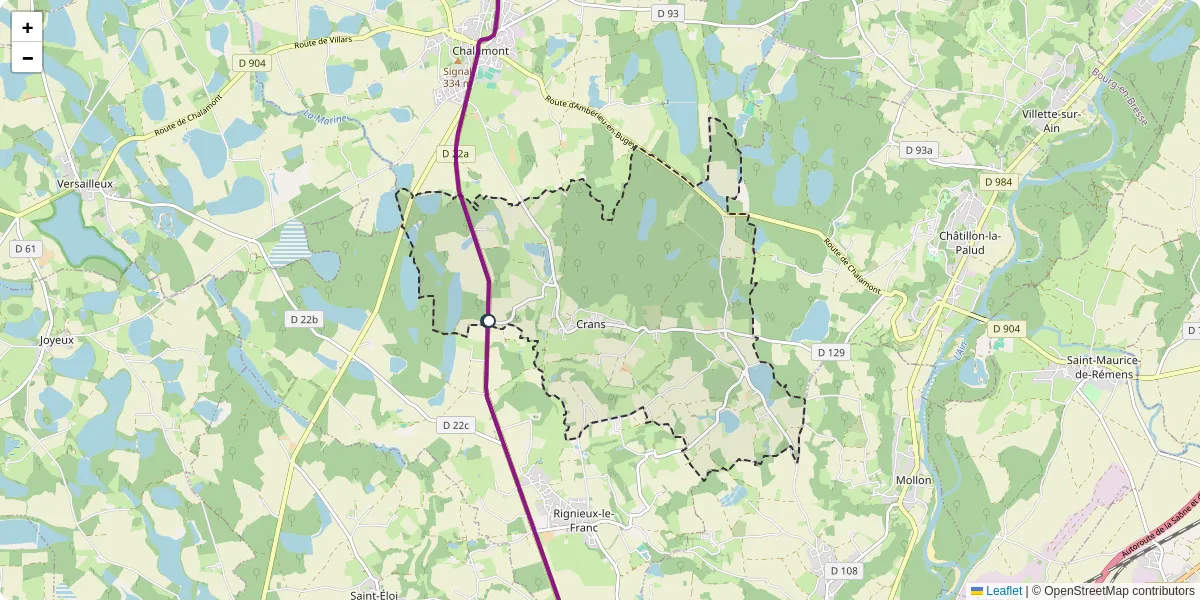 Carte du réseau de transport en commun à Crans - lignes de bus et arrêts