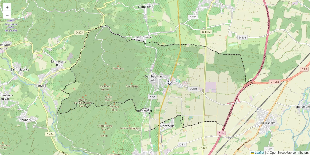 Carte du réseau de transport en commun à Dambach-la-Ville - lignes de bus et arrêts
