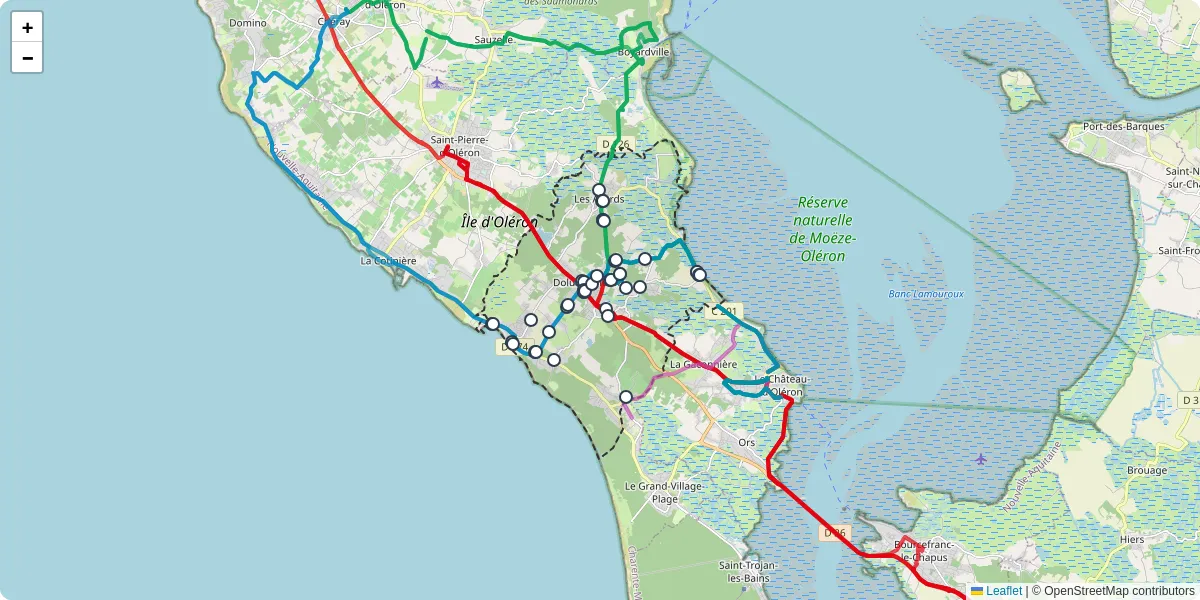 Carte du réseau de transport en commun à Dolus-d'Oléron - lignes de bus et arrêts