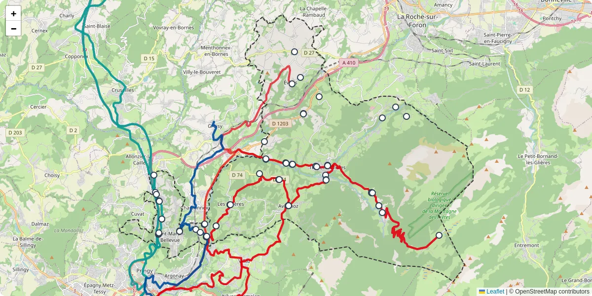 Carte du réseau de transport en commun à Fillière - lignes de bus et arrêts