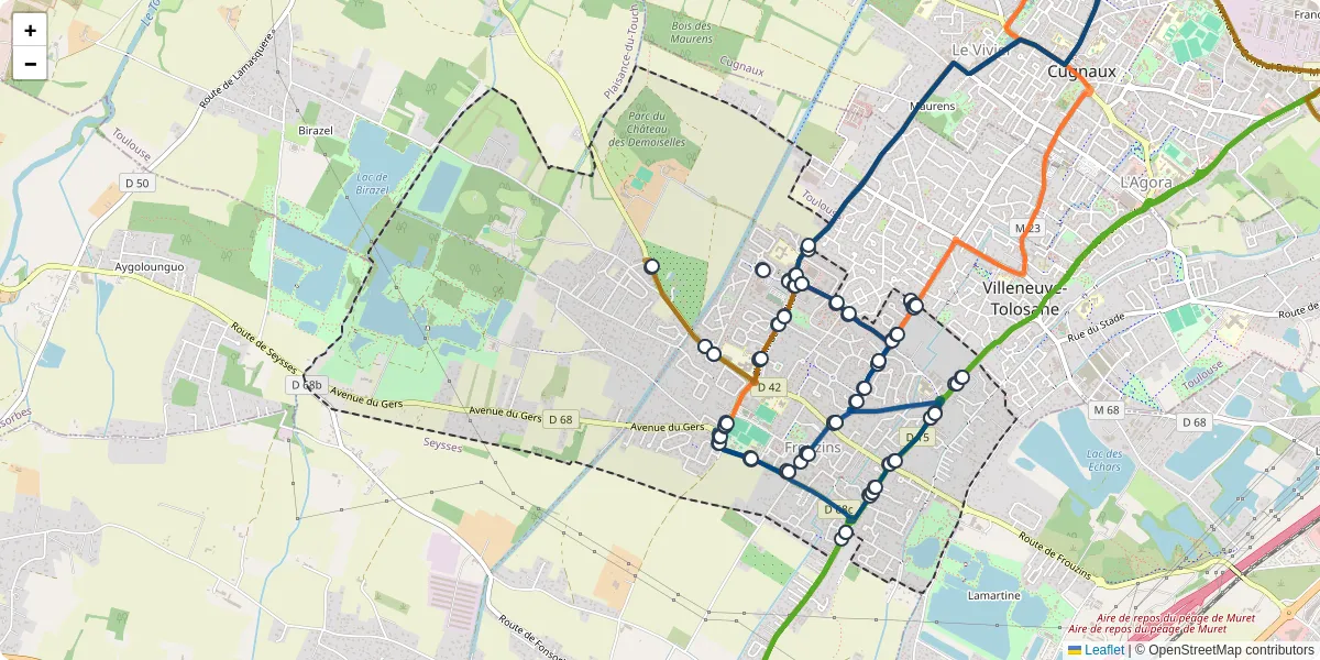 Carte du réseau de transport en commun à Frouzins - lignes de bus et arrêts