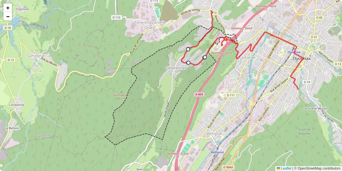 Carte du réseau de transport en commun à Géovreisset - lignes de bus et arrêts