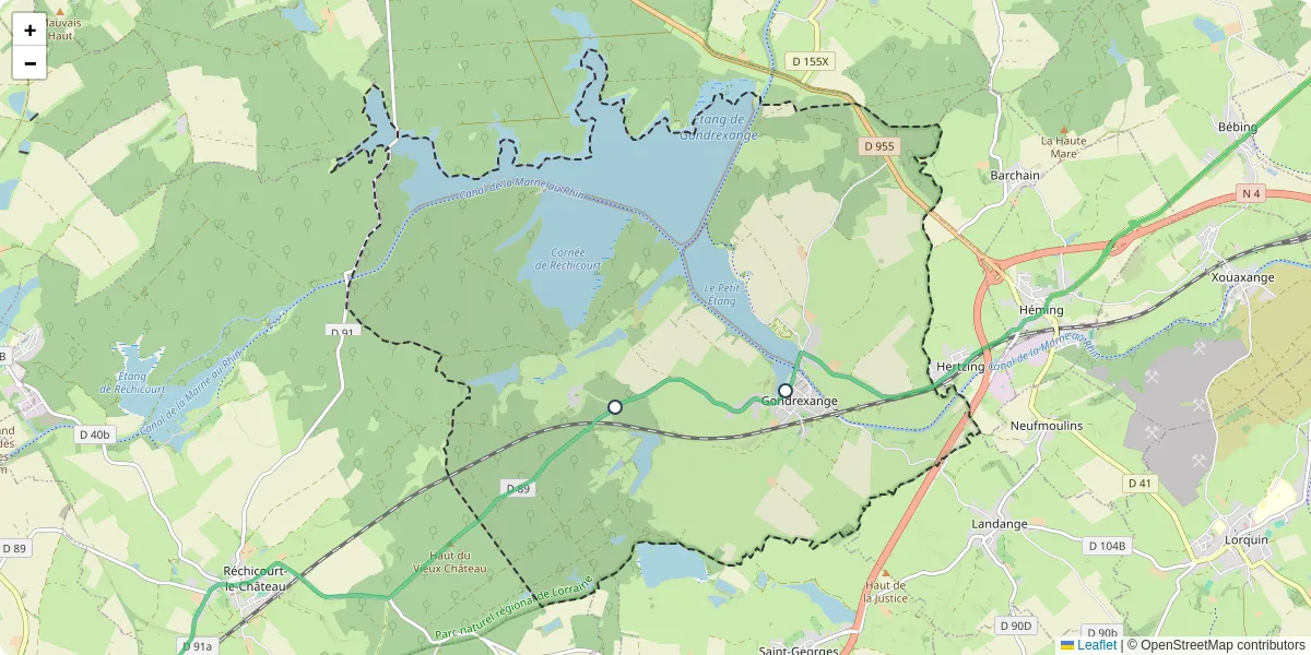 Carte du réseau de transport en commun à Gondrexange - lignes de bus et arrêts
