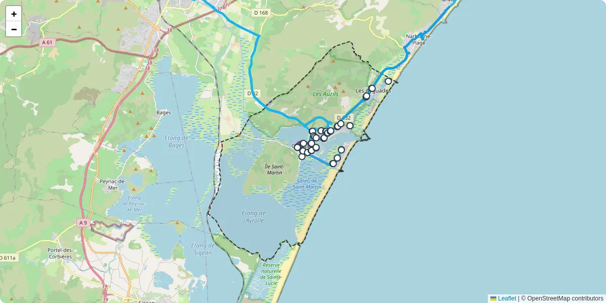 Carte du réseau de transport en commun à Gruissan - lignes de bus et arrêts