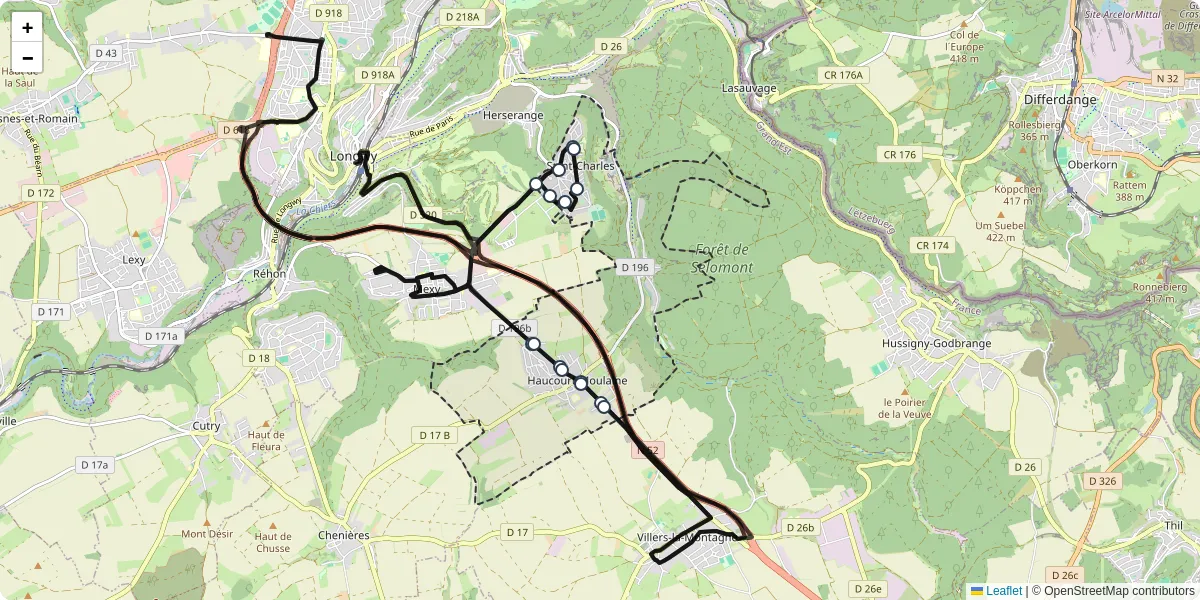 Carte du réseau de transport en commun à Haucourt-Moulaine - lignes de bus et arrêts
