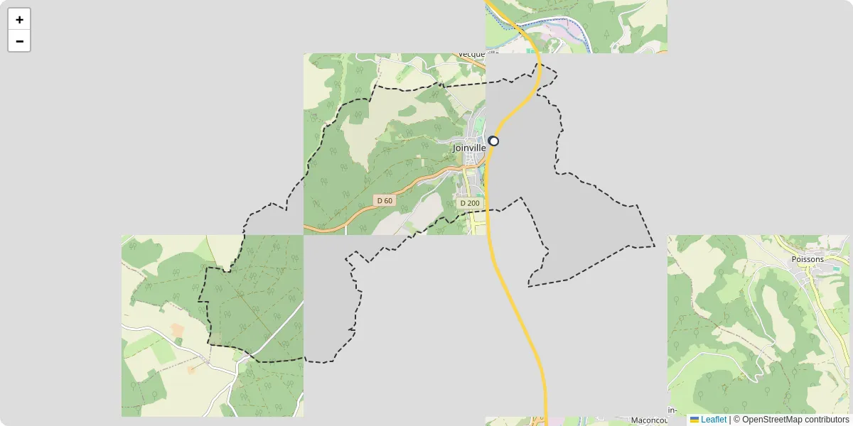 Carte du réseau de transport en commun à Joinville - lignes de bus et arrêts