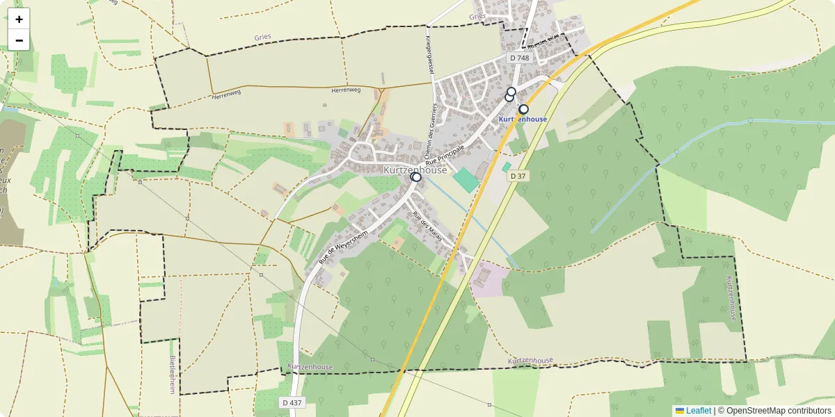 Carte du réseau de transport en commun à Kurtzenhouse - lignes de bus et arrêts