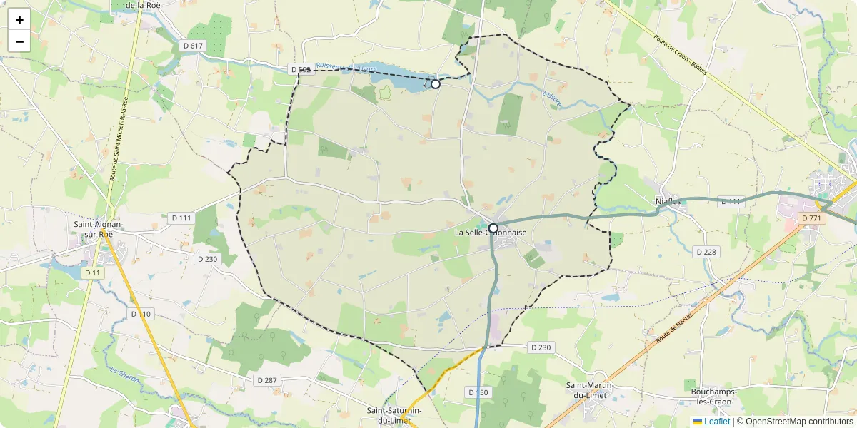 Carte du réseau de transport en commun à La Selle-Craonnaise - lignes de bus et arrêts