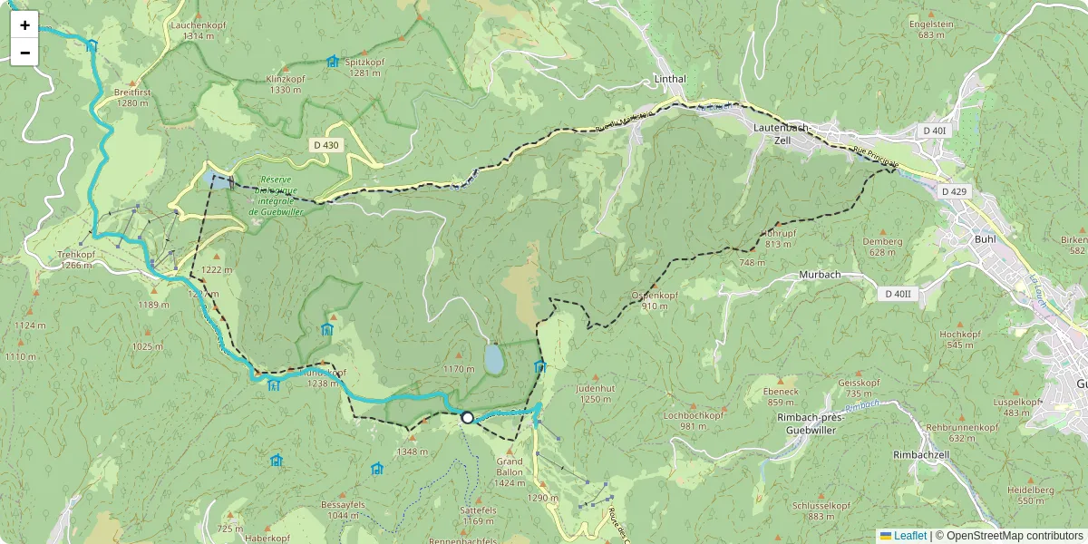 Carte du réseau de transport en commun à Lautenbachzell - lignes de bus et arrêts