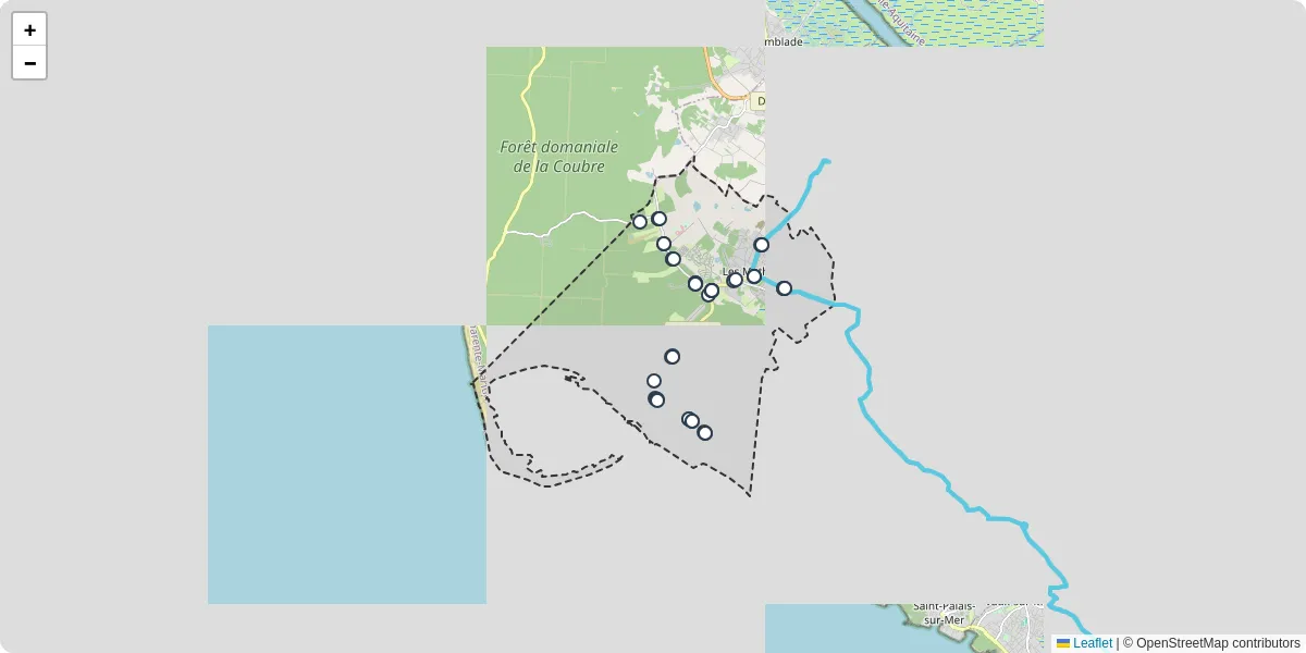 Carte du réseau de transport en commun à Les Mathes - lignes de bus et arrêts
