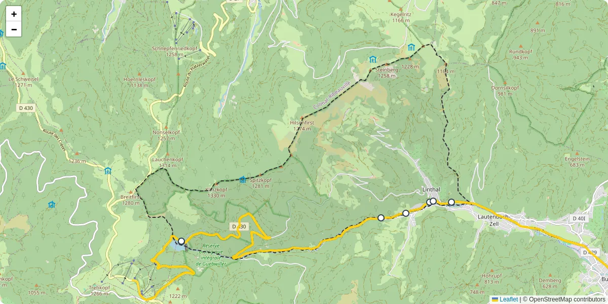 Carte du réseau de transport en commun à Linthal - lignes de bus et arrêts