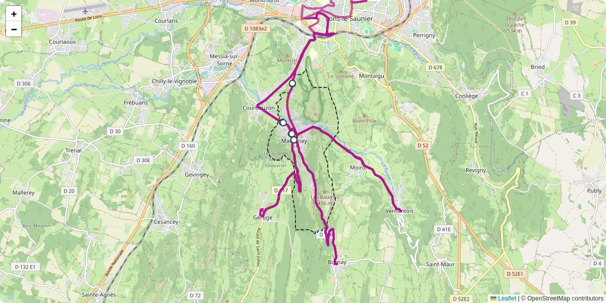 Carte du réseau de transport en commun à Macornay - lignes de bus et arrêts