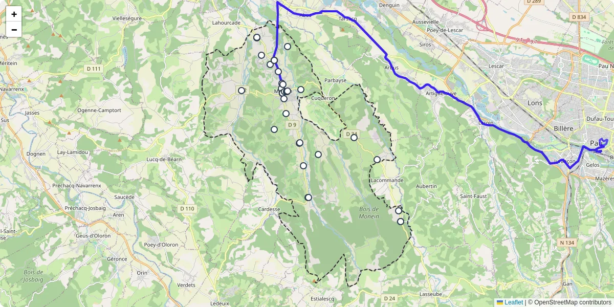 Carte du réseau de transport en commun à Monein - lignes de bus et arrêts