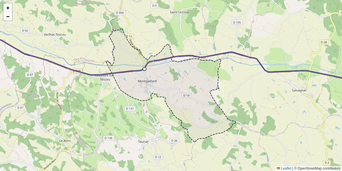 Carte du réseau de transport en commun à Montgaillard - lignes de bus et arrêts