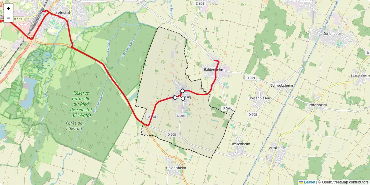 Carte du réseau de transport en commun à Mussig - lignes de bus et arrêts