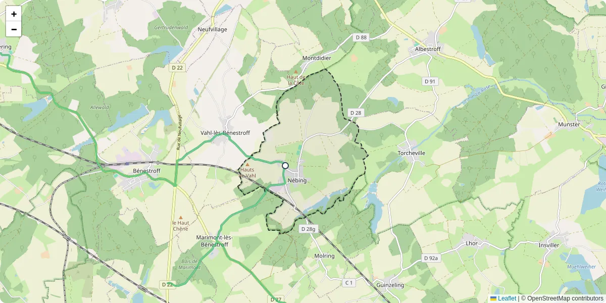 Carte du réseau de transport en commun à Nébing - lignes de bus et arrêts
