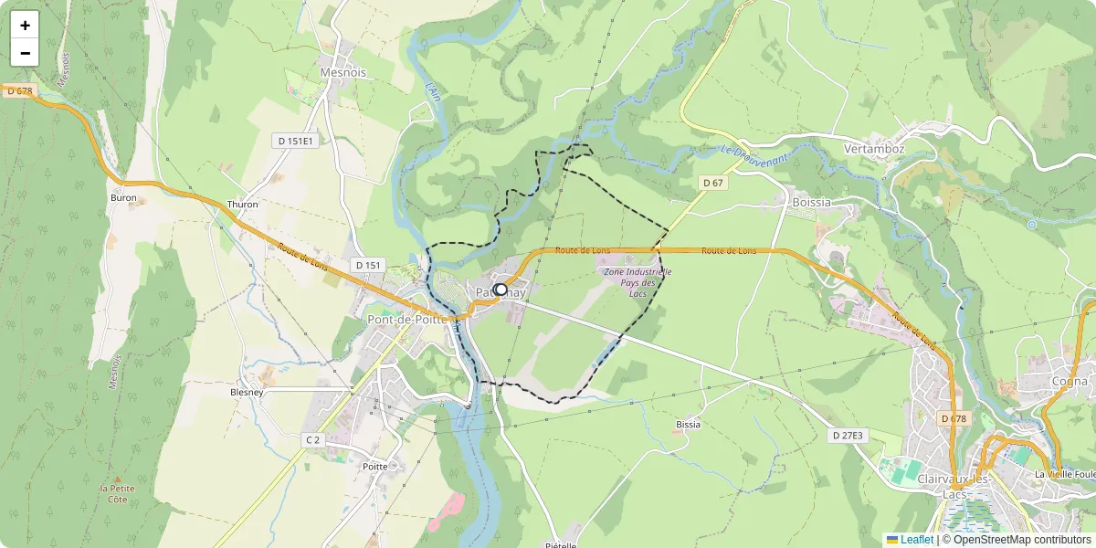 Carte du réseau de transport en commun à Patornay - lignes de bus et arrêts