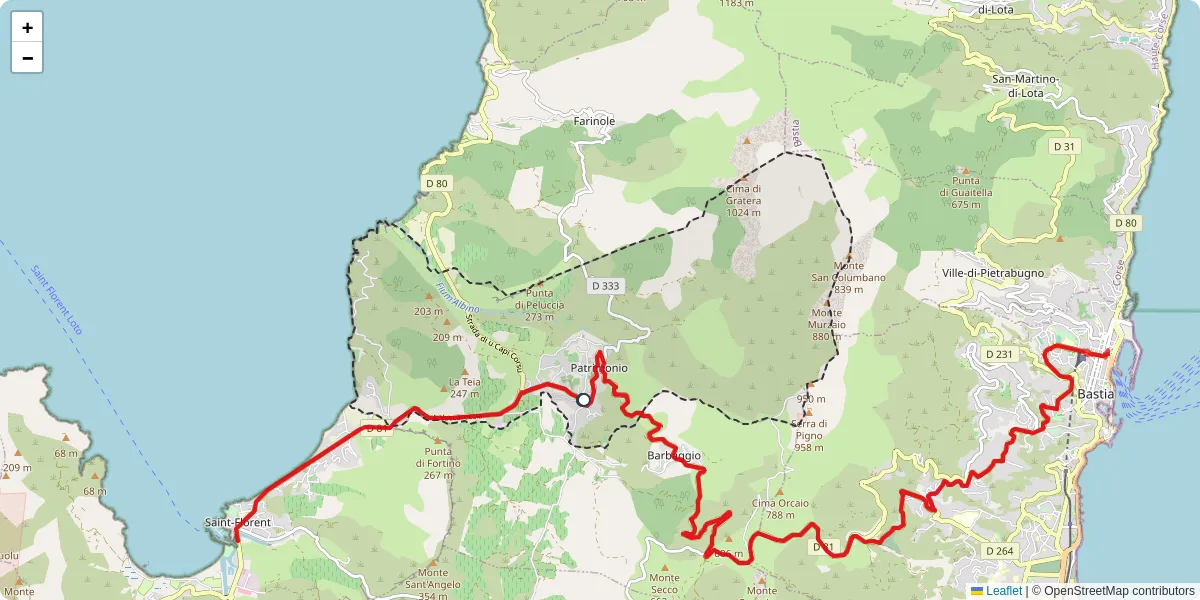 Carte du réseau de transport en commun à Patrimonio - lignes de bus et arrêts