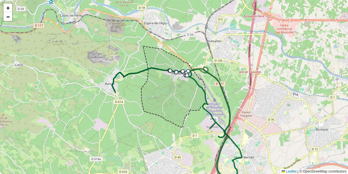 Carte du réseau de transport en commun à Peyrestortes - lignes de bus et arrêts