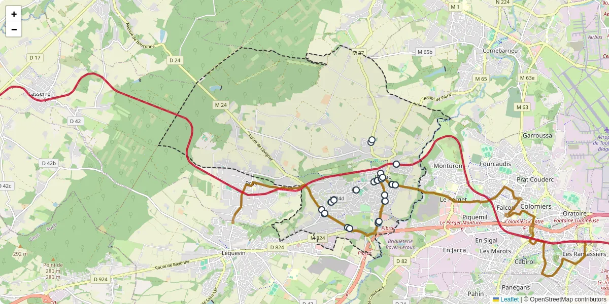 Carte du réseau de transport en commun à Pibrac - lignes de bus et arrêts