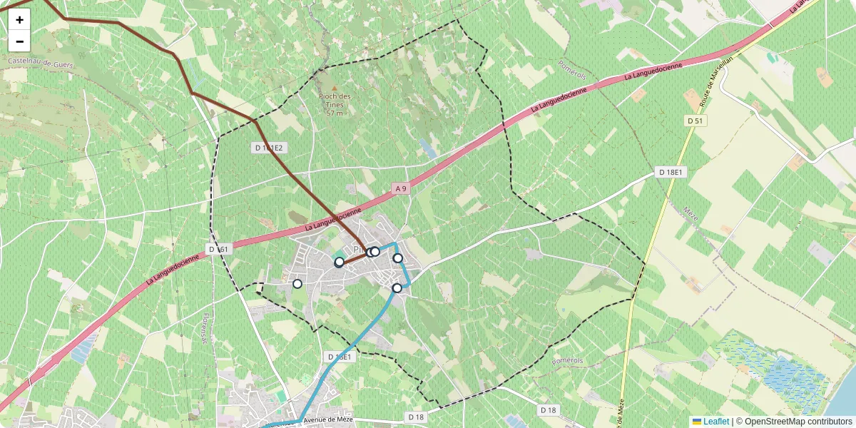Carte du réseau de transport en commun à Pinet - lignes de bus et arrêts