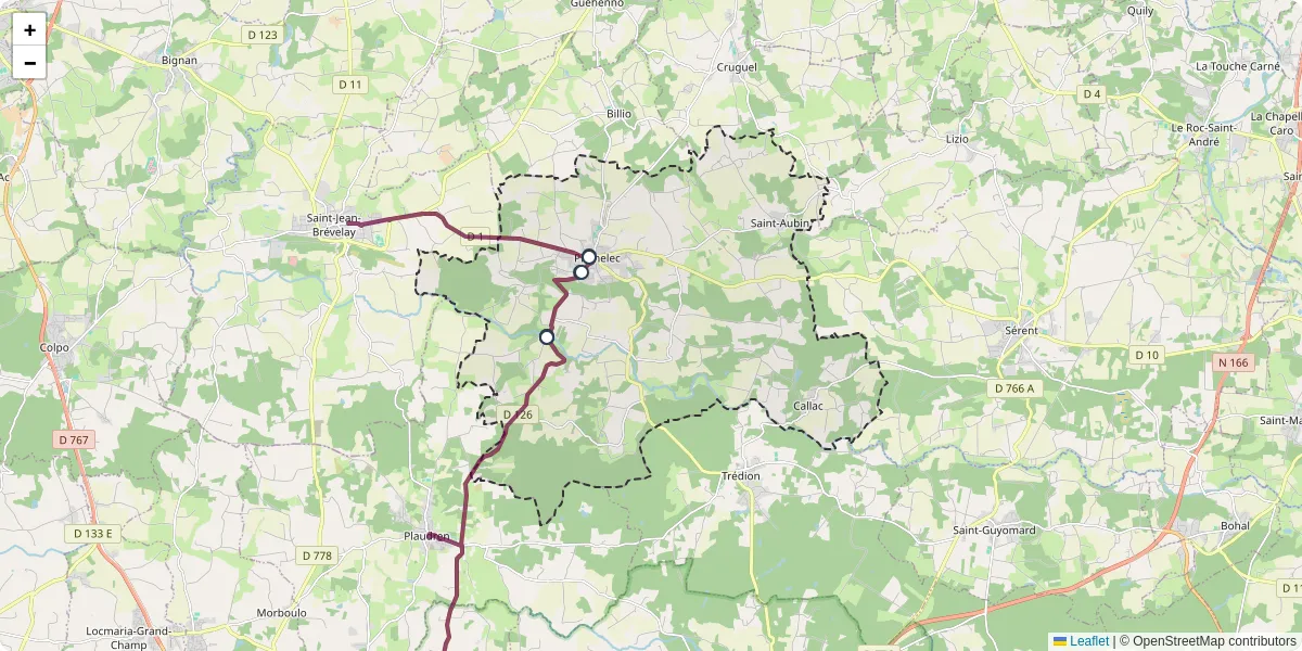 Carte du réseau de transport en commun à Plumelec - lignes de bus et arrêts
