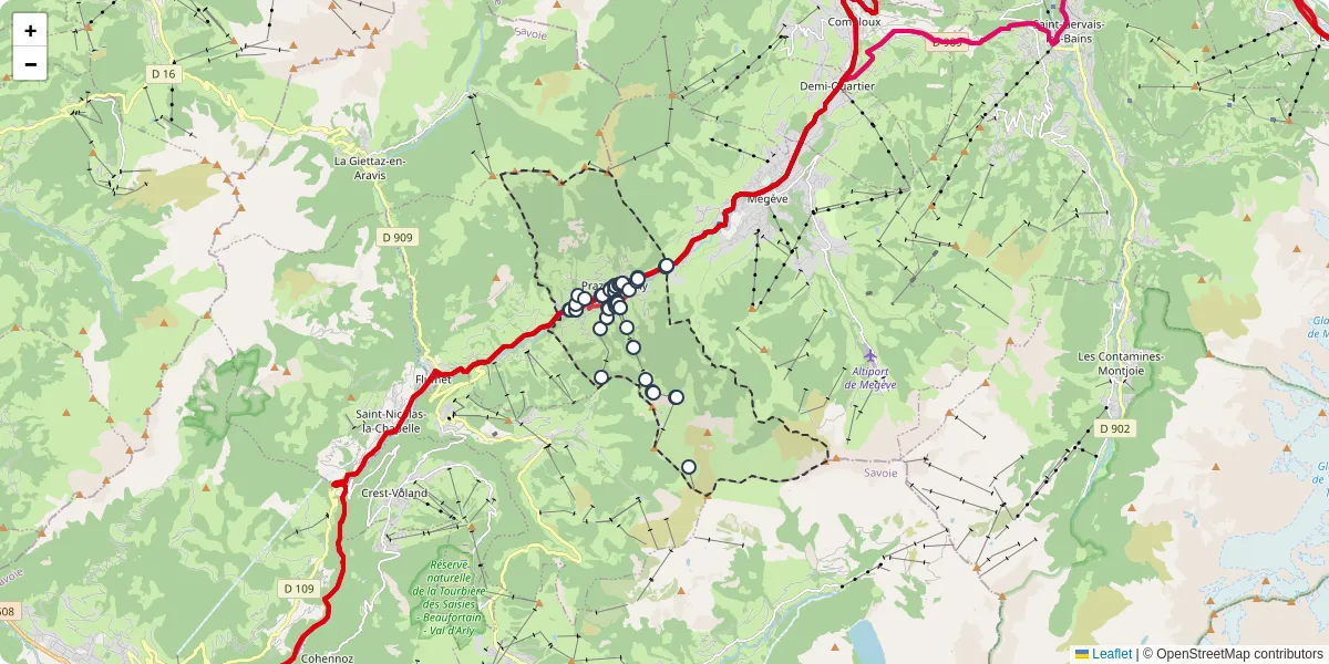 Carte du réseau de transport en commun à Praz-sur-Arly - lignes de bus et arrêts